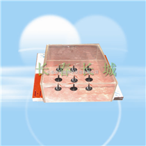 EXD-38顺磁介质的磁化模拟投影演示装置